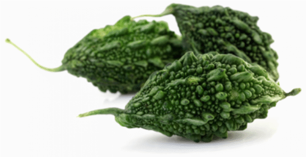 Karela (करेला)