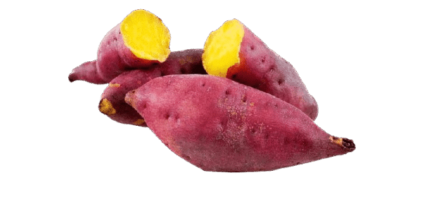 Shakarkandi (शकरकंदी)