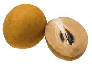 Chikoo (चीकू)